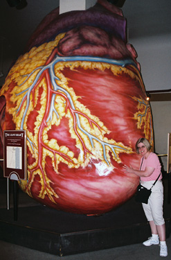 Debbie in heart