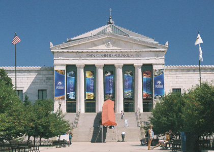 Shedd Aquarium