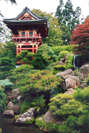 Japanese Tea Garden in Golden Gate Park