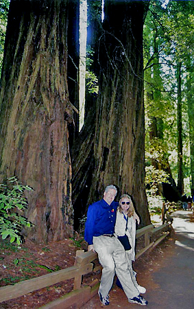 Muir Woods