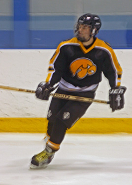 Mark Lombardi